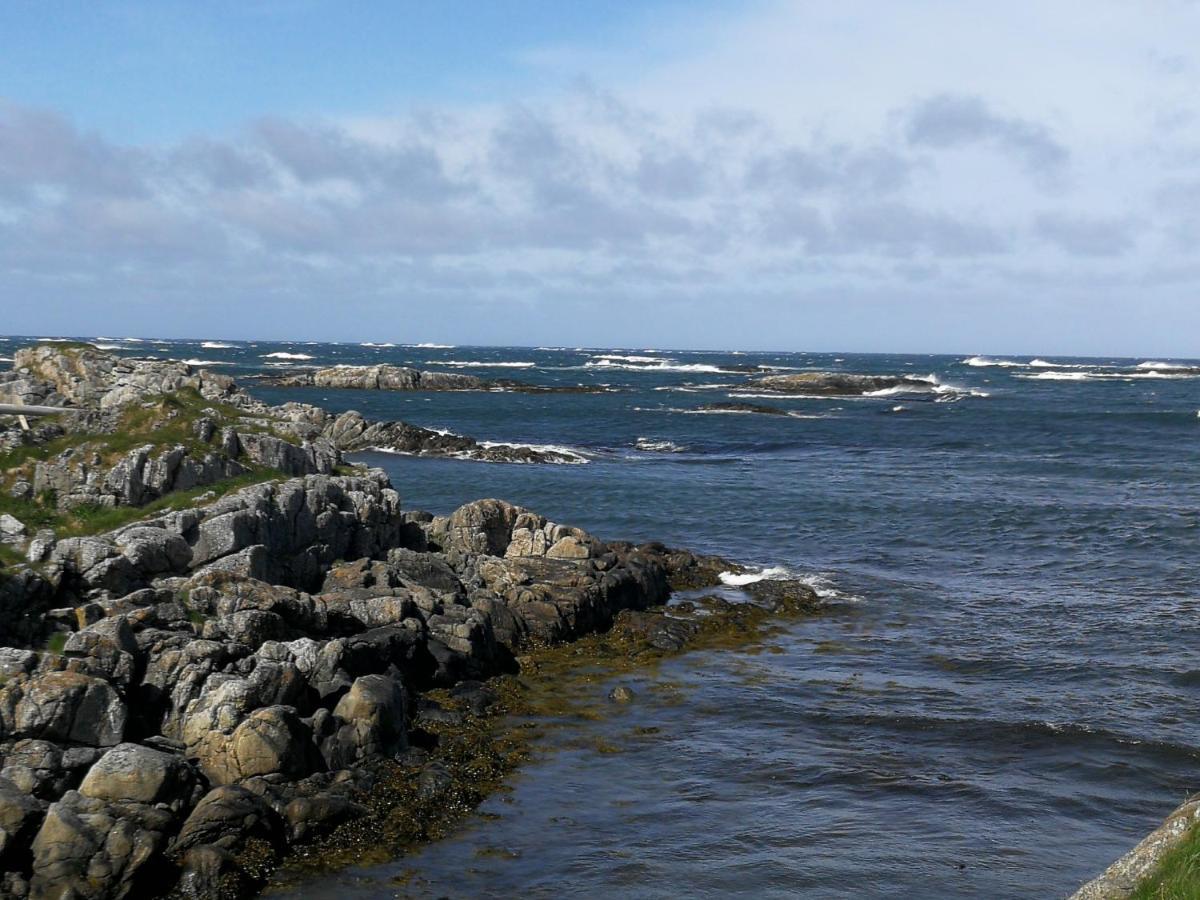 Apt 103 - Andenes Whale Safari Apartments Zewnętrze zdjęcie