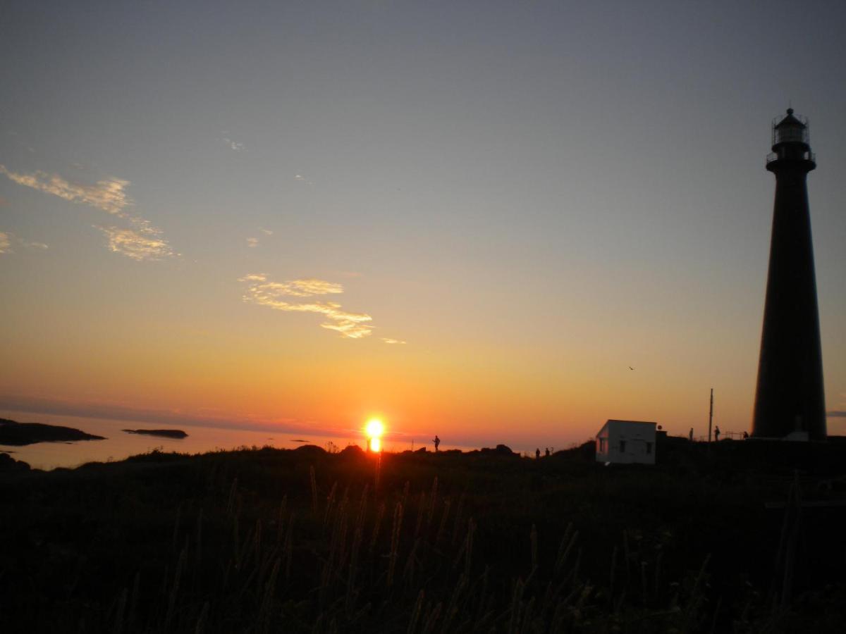 Apt 103 - Andenes Whale Safari Apartments Zewnętrze zdjęcie